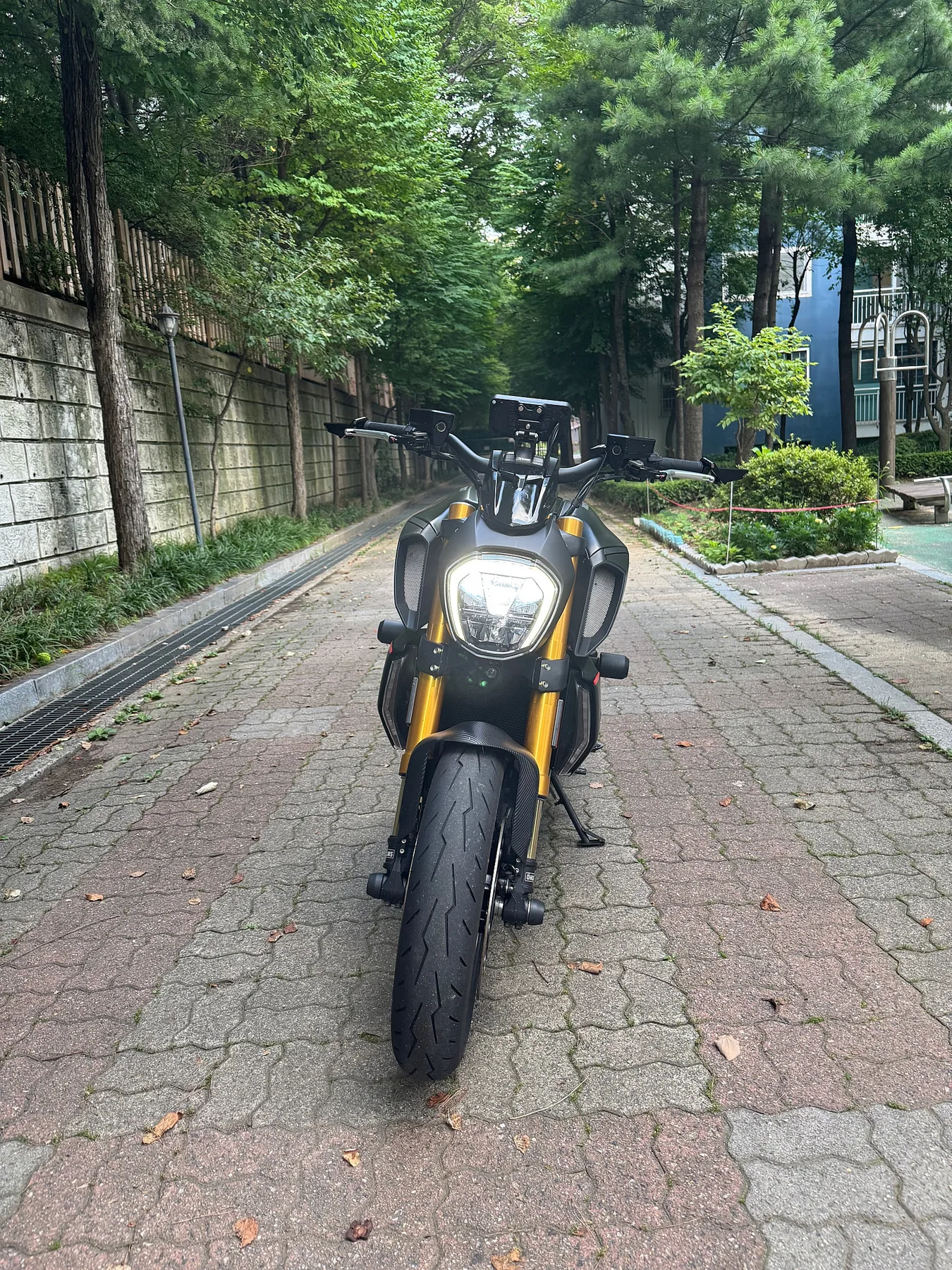 두카티 디아벨 1260 S 2020 블랙 사진 3