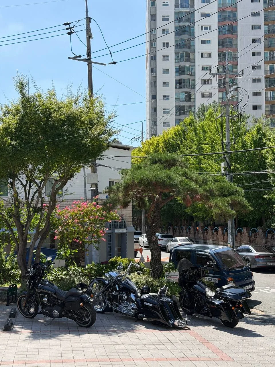 할리데이비슨 로드킹 2021 블랙 사진 2