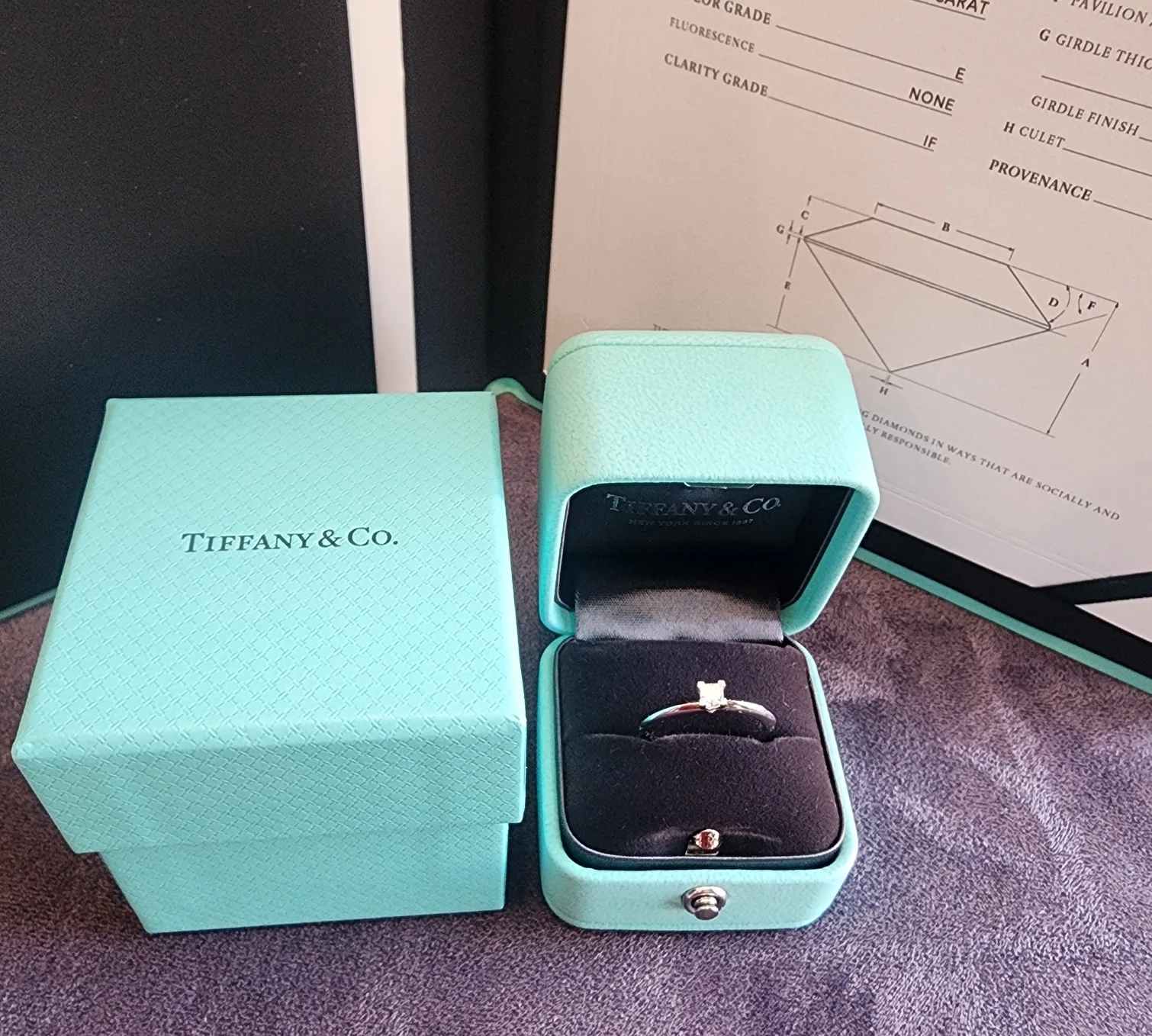 티파니앤코 (정품) 트루 다이아몬드 웨딩 링 0.19ct 사진 1