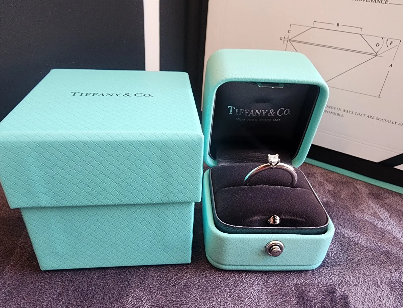 티파니앤코 (정품) 트루 다이아몬드 웨딩 링 0.19ct 사진 1