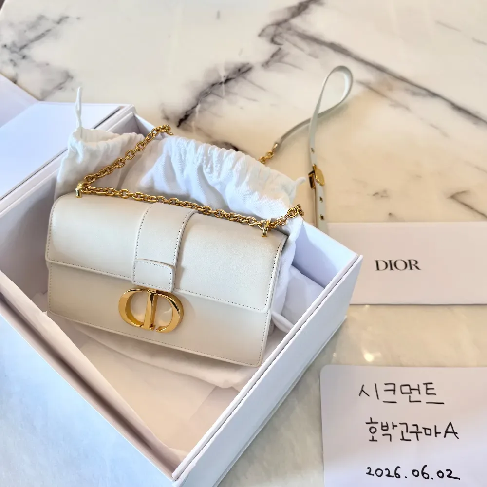 디올 30 몽테인 이스트웨스트 체인백 사진 1