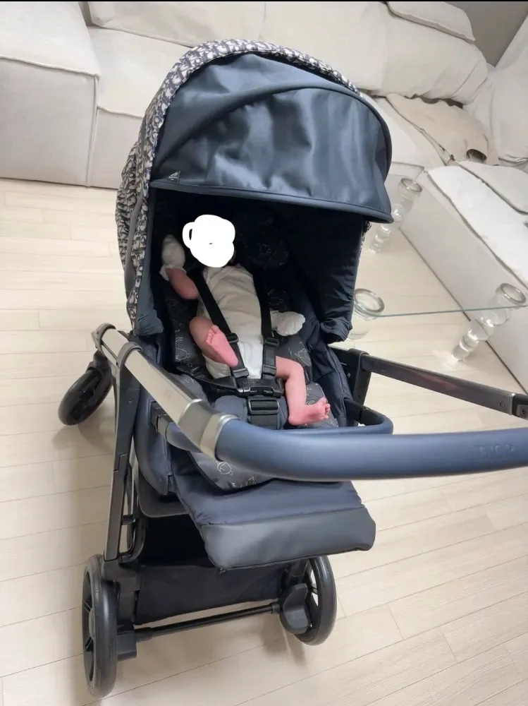 디올 잉글레시나 디럭스 유모차 사진 2