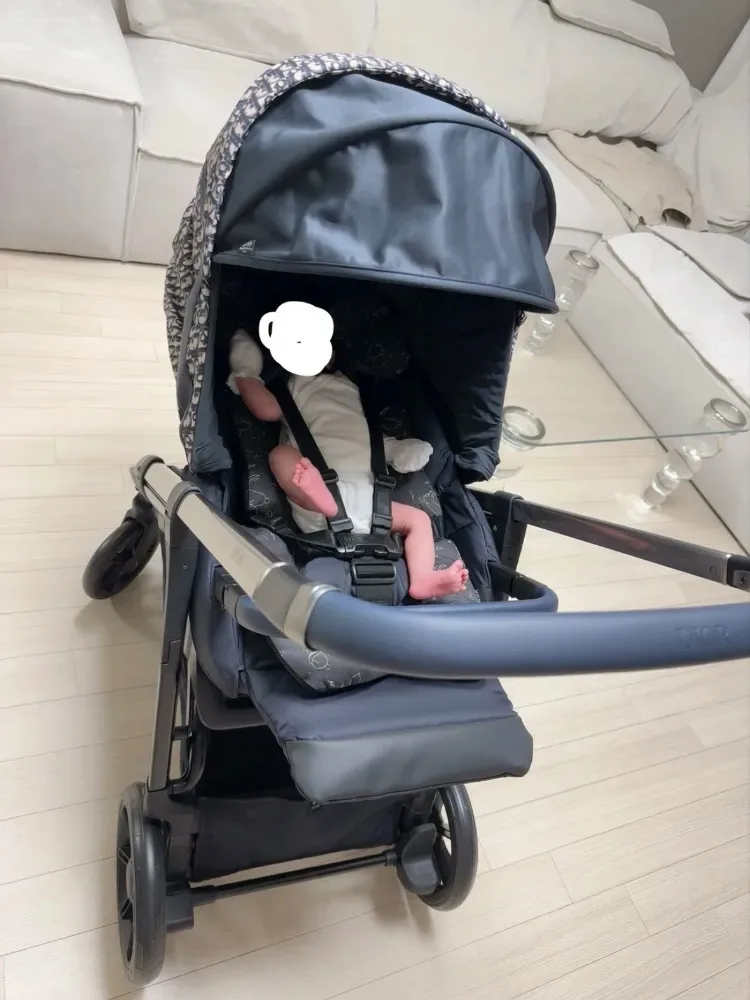 디올 잉글레시나 디럭스 유모차 사진 3