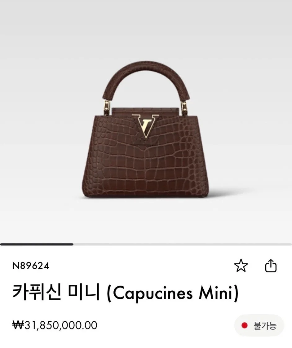 루이비통 카퓌신 미니 악어 브라운 사진 6