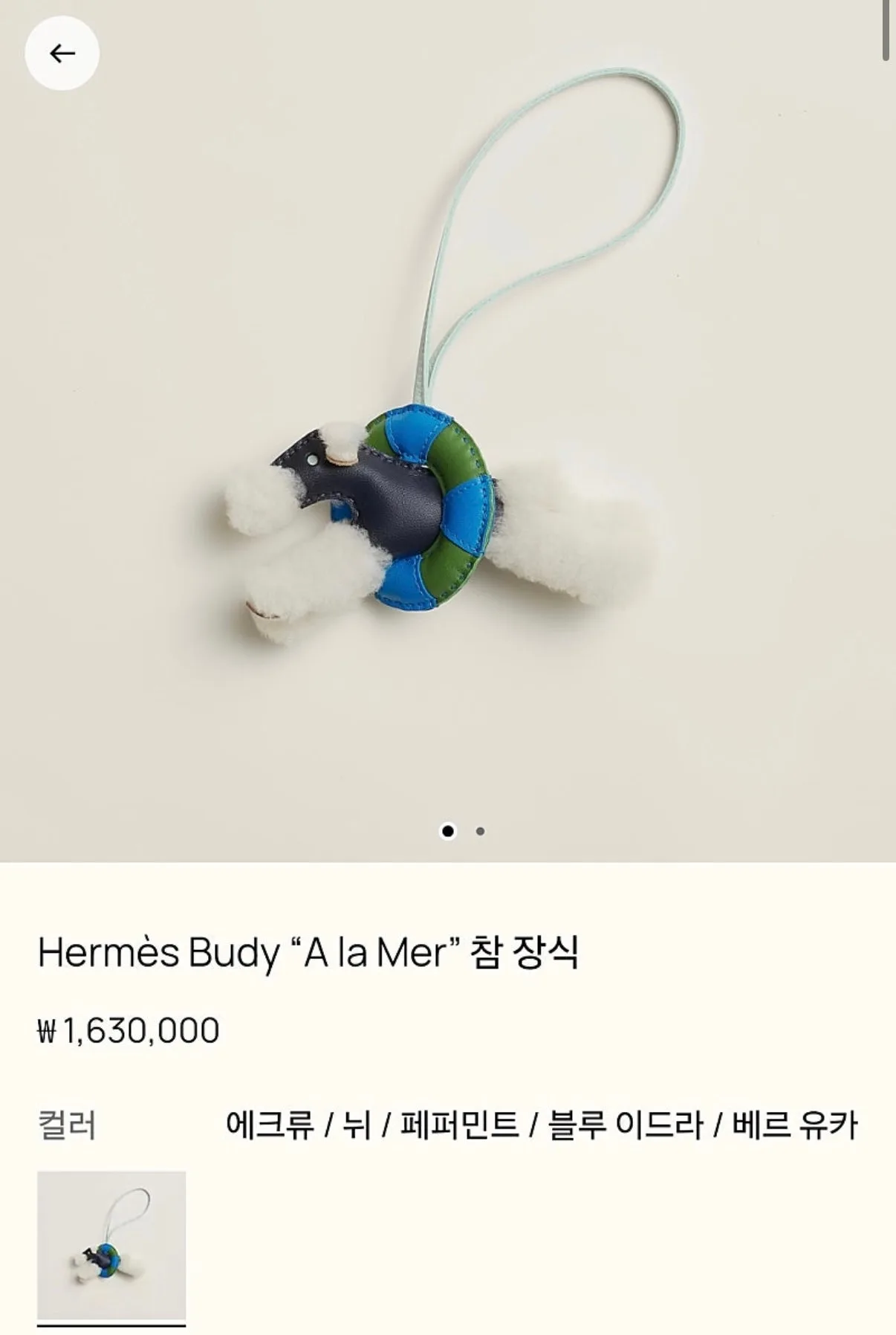 에르메스 튜브 버디 참