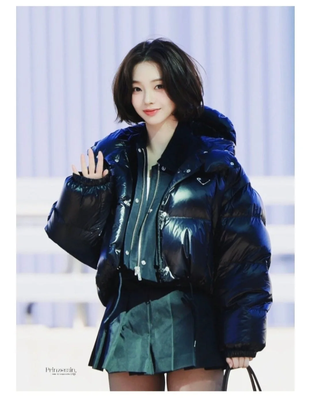 프라다 카리나 패딩 사진 3