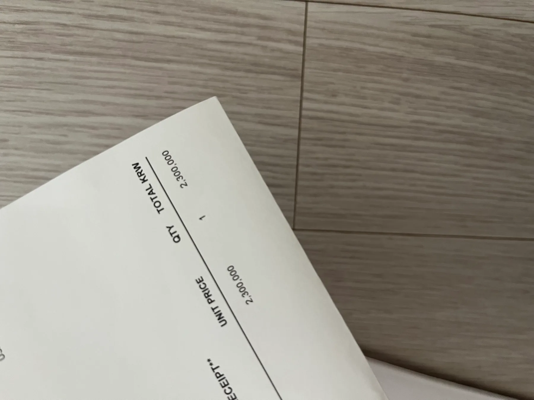 셀린느 아바백 그레쥬 국내백화점97만 사진 8