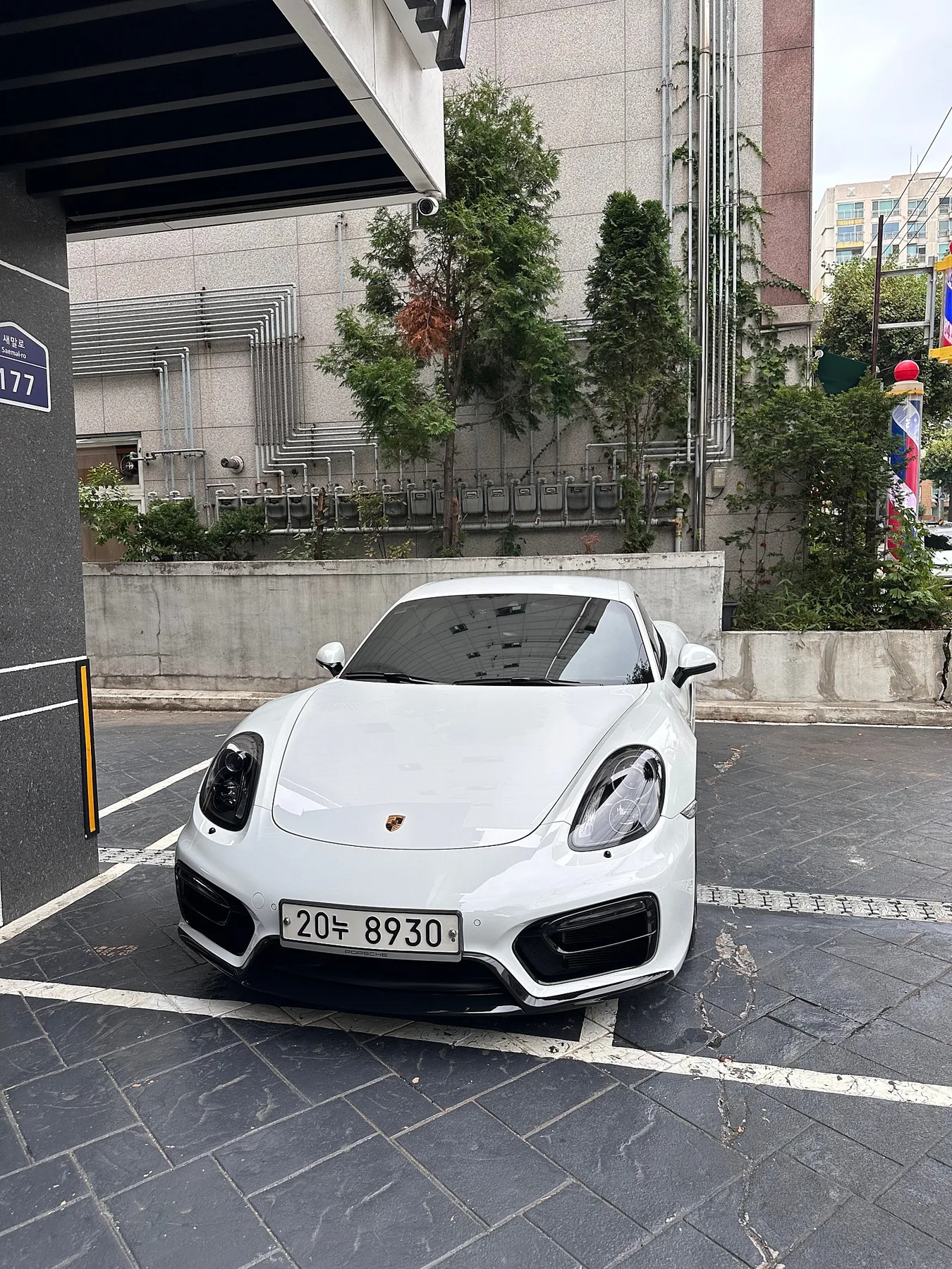 포르쉐 카이맨 GTS 2015 화이트 사진 4
