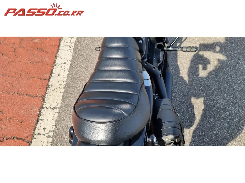 할리데이비슨 아이언 2019 블랙 사진 8