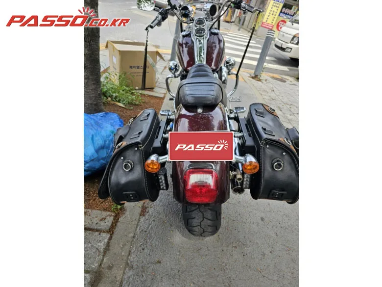 할리데이비슨 분양 2019 버건디 사진 3