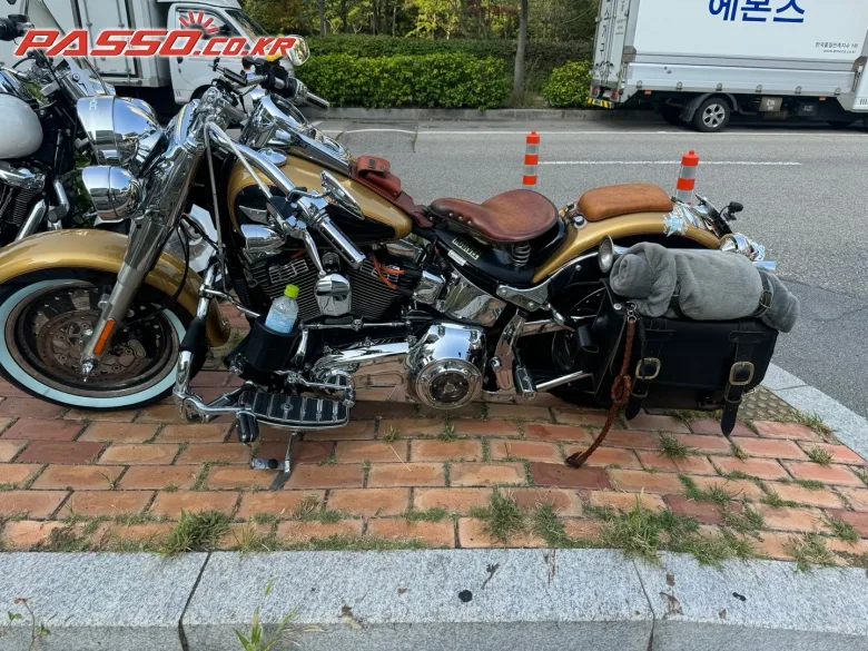 할리데이비슨 팻보이 2017 골드 사진 2