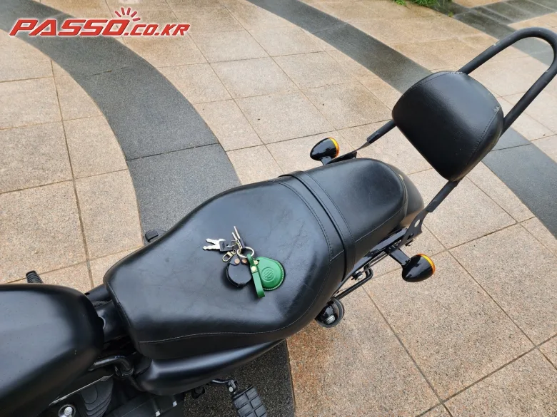 할리데이비슨 아이언 883 2018 블랙 사진 8