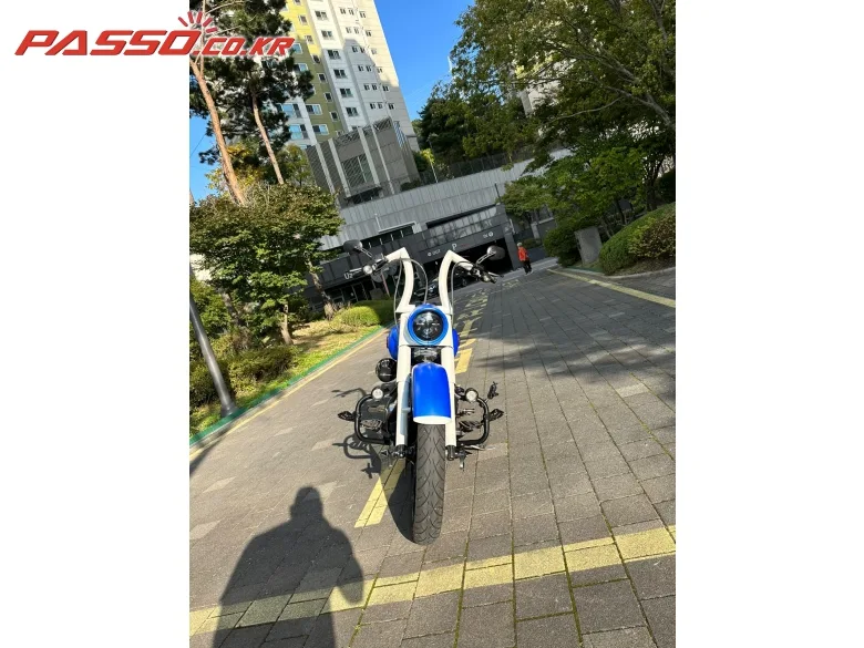 할리데이비슨 팻보이스페셜 2015 블루 사진 5