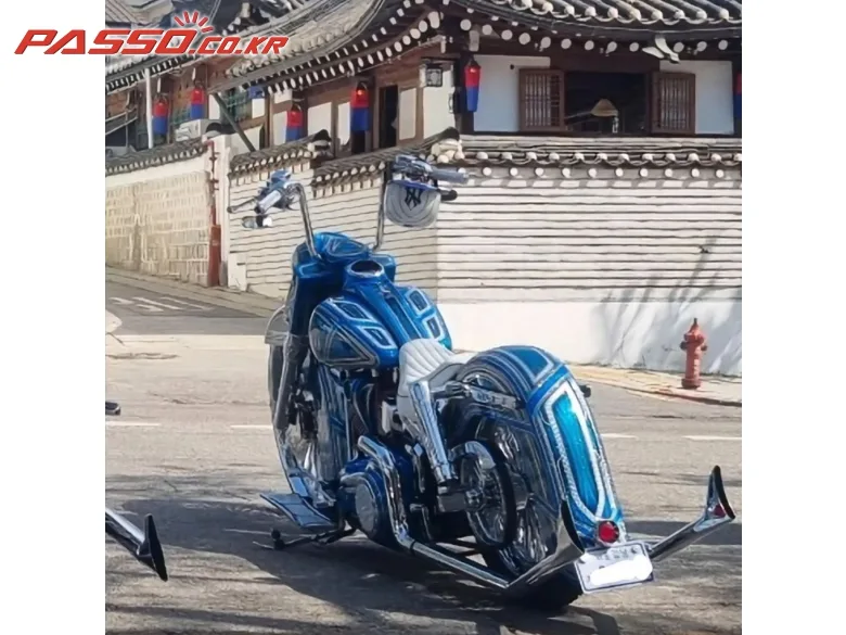 할리데이비슨 완벽한 더티버드 촐로 2016 블루 사진 3