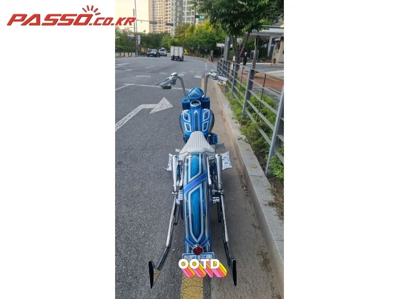 할리데이비슨 완벽한 더티버드 촐로 2016 블루 사진 8