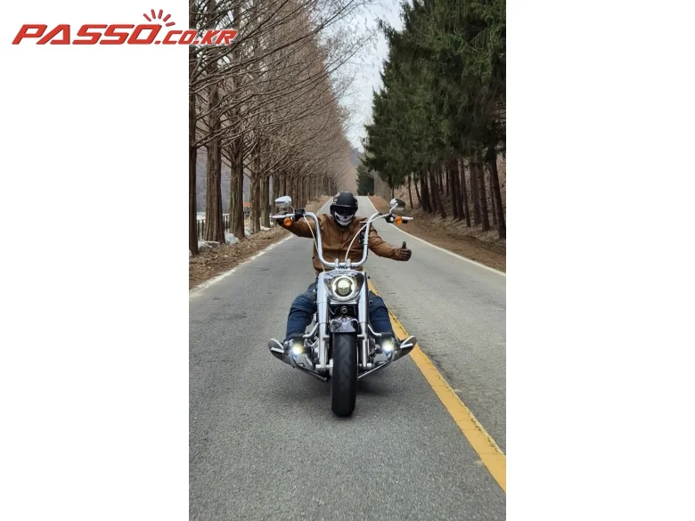 할리데이비슨 팻보이 114 2019 사진 5