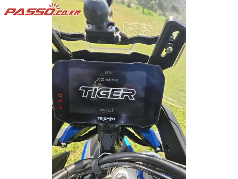 트라이엄프 타이거 900 GT 프로 2024 블루 사진 8