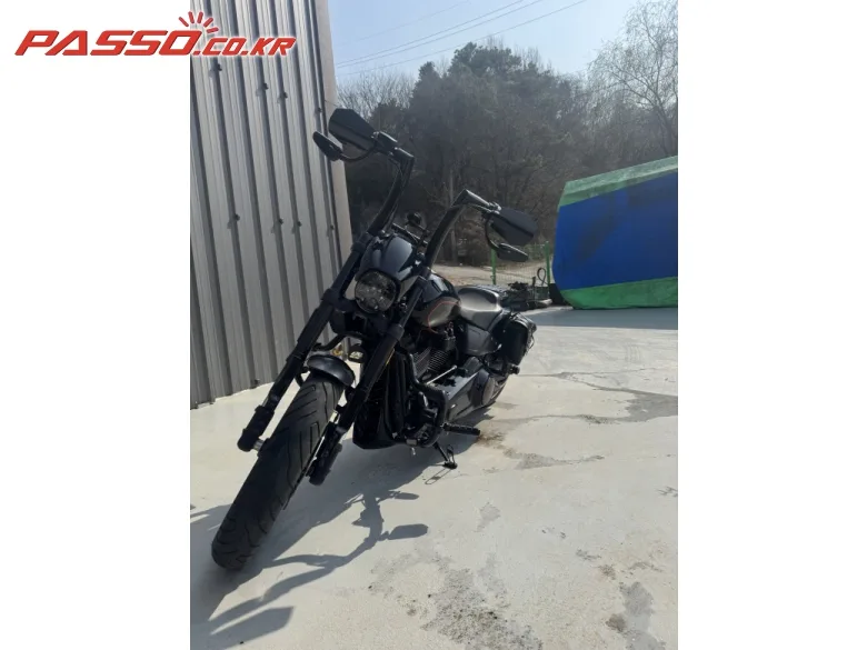 할리데이비슨 FXDR 114 2019 블랙 사진 2