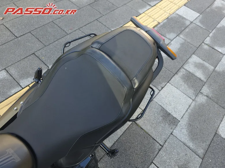 할리데이비슨 FXDR 114 2019 블랙 사진 8