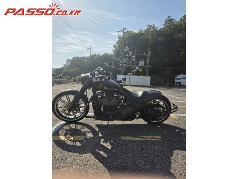할리데이비슨 팻보이 114 2019 블랙 사진 2