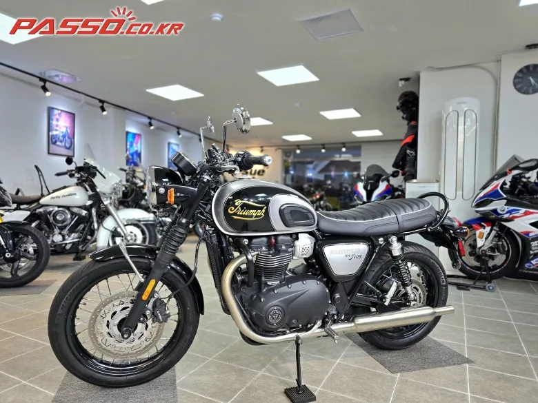 트라이엄프 본네빌 T100 2025 화이트 사진 5