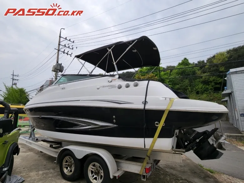 글래스트론 GS 259 2011 사진 3