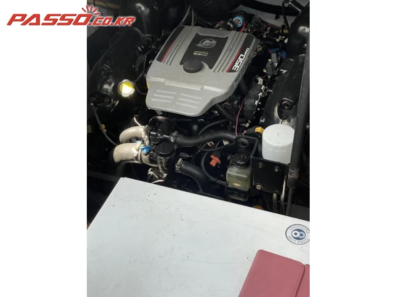 베이라이너 335 CR 2010 사진 6
