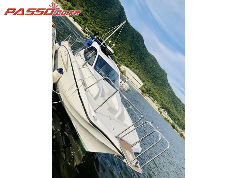 야마하 YFR 27 2019 사진 2