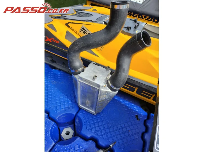 씨두 RXT X 300 RS 2022 사진 7