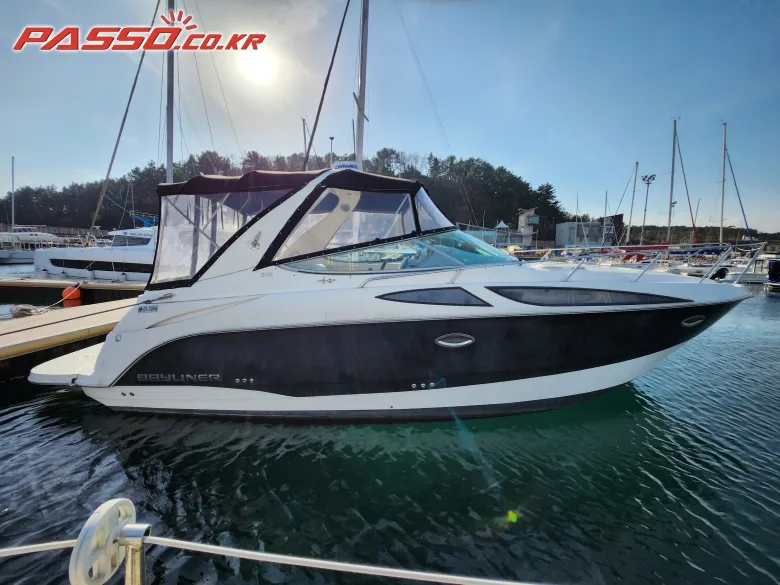 베이라이너 315 CR 2010 사진 1
