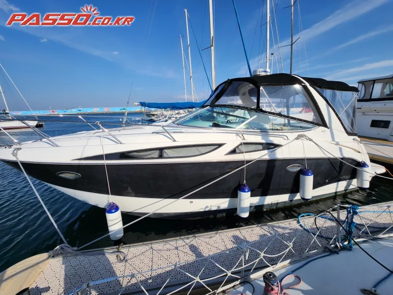 베이라이너 315 CR 2010 사진 2