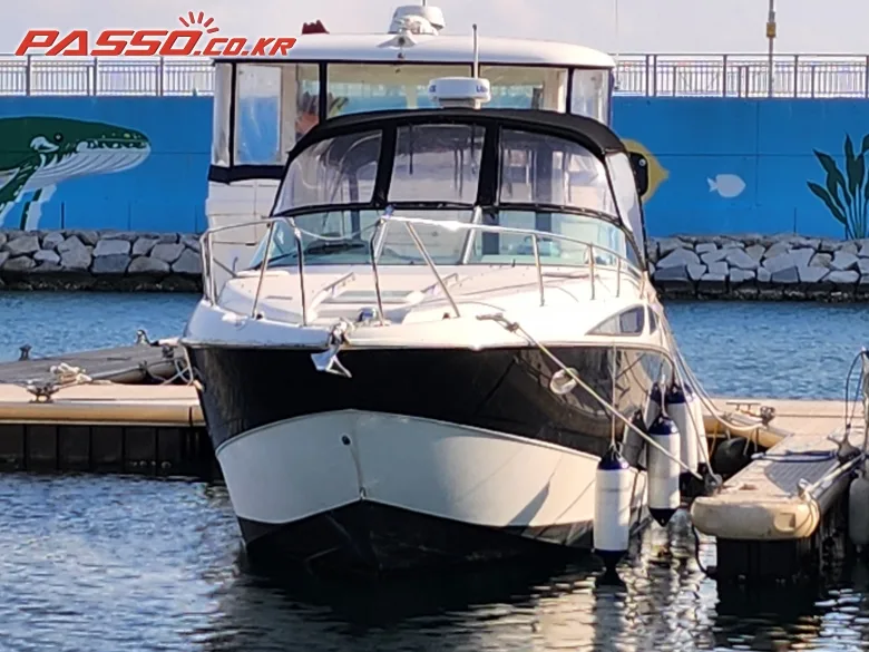 베이라이너 315 CR 2010 사진 3