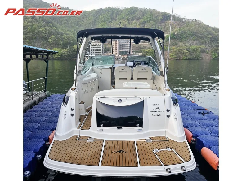 몬테레이 M5 2006 사진 5