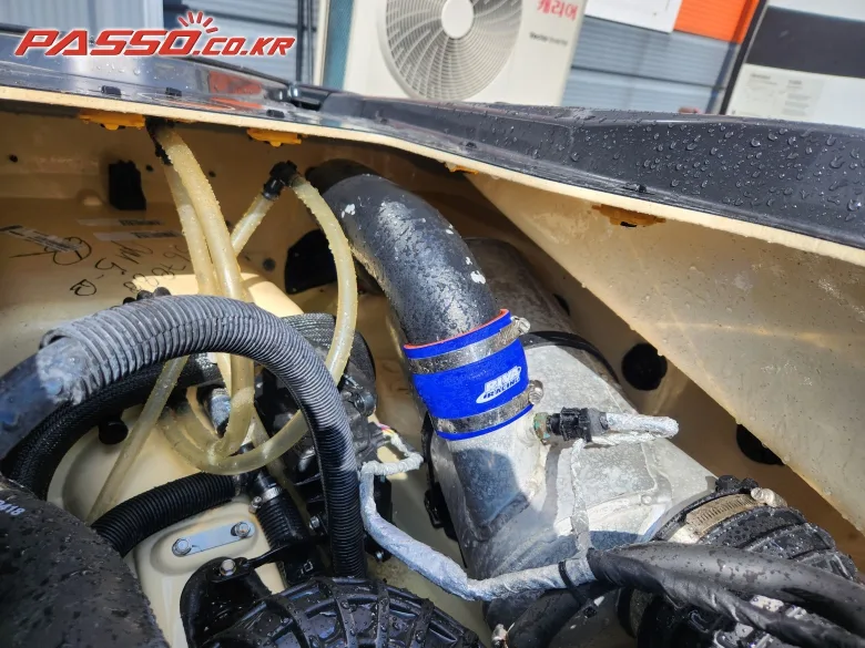 씨두 RXP X 300 2022 사진 8