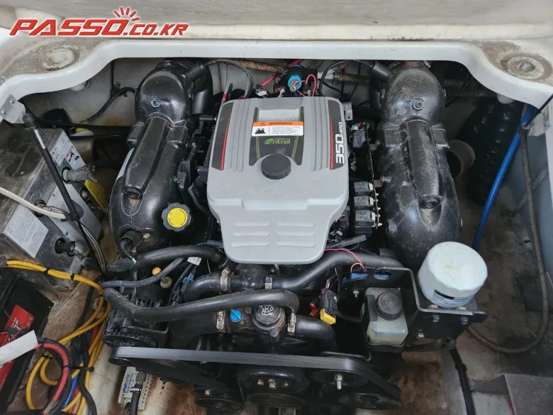 글래스트론 GS 259 2011 사진 6