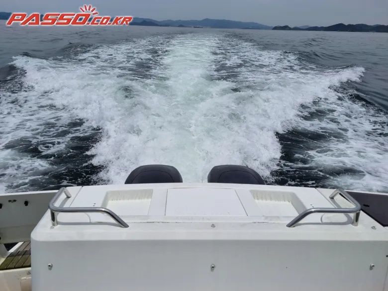 자뉴 메리피셔 895 2016 사진 2