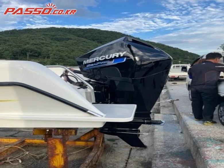 수입보트 레저형보트 2019 사진 6