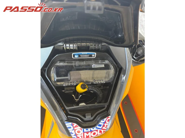 씨두 RXT X 300 RS 2022 사진 6