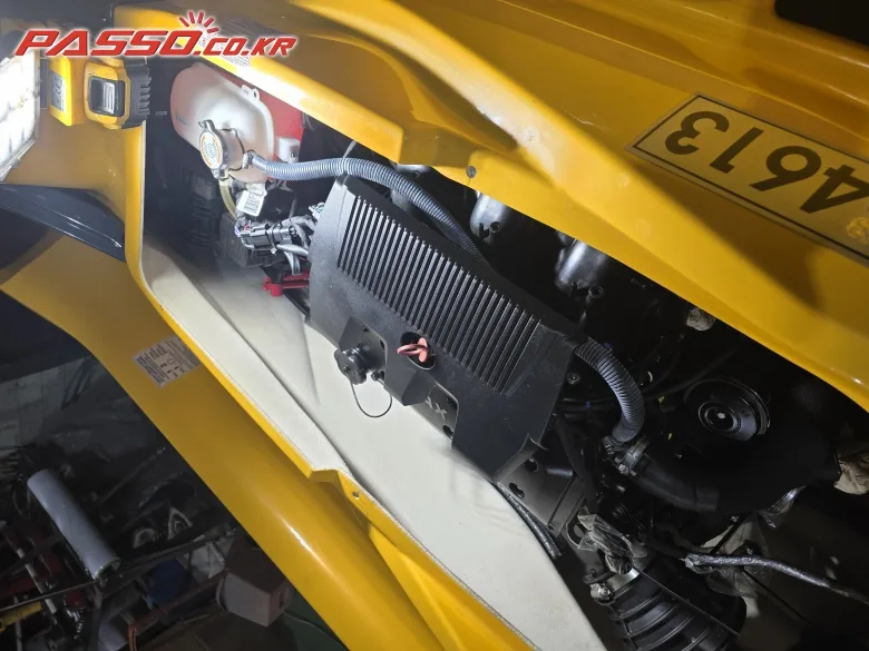 씨두 RXT X 300 2021 사진 2