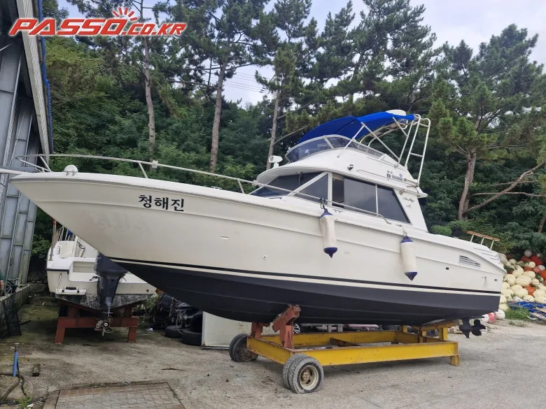 씨레이 290 2001 사진 1