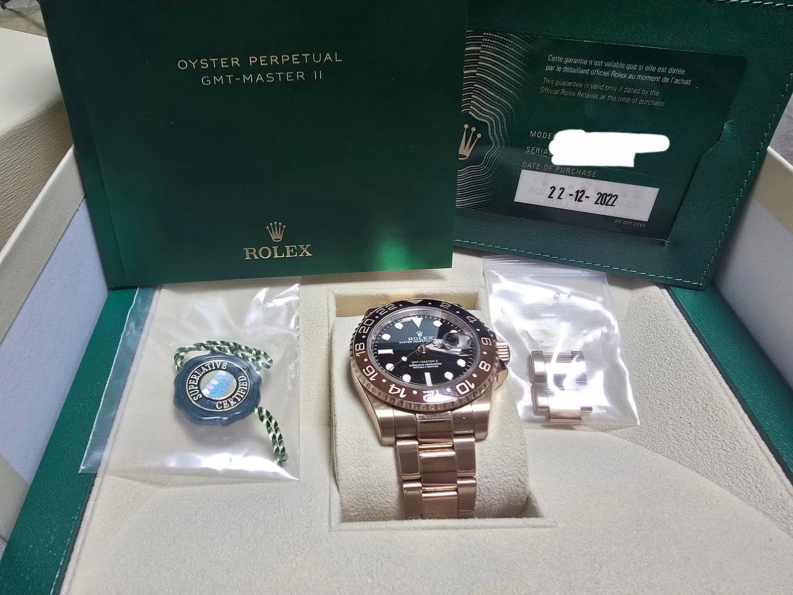롤렉스 GMT 마스터2 루트비어 금통 2022