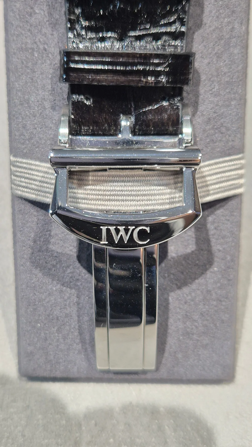 IWC 트리뷰트 폴베버 150주년 한정 생산 2019 사진 4