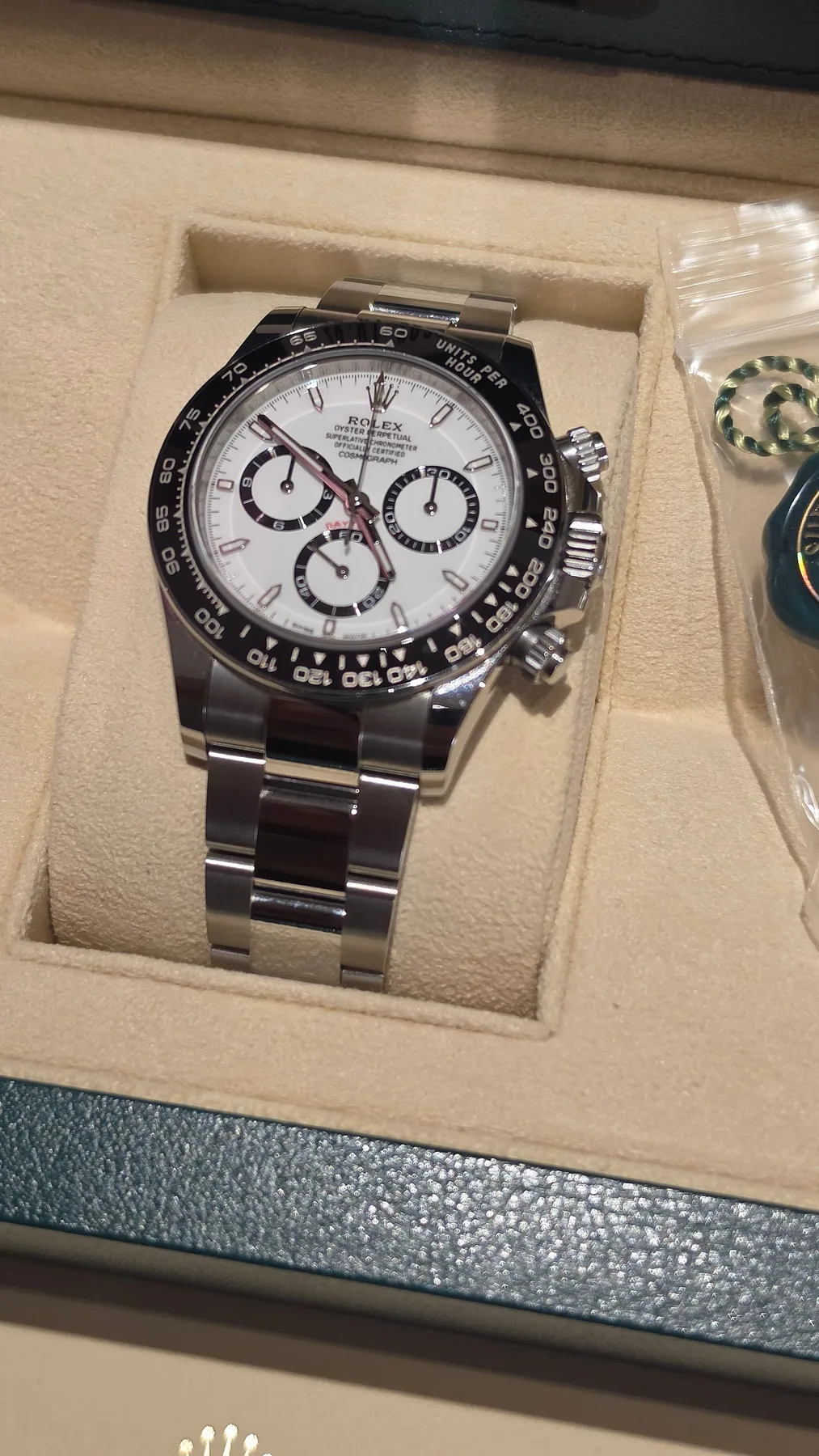 롤렉스 세라토나 판다 126500 2025 사진 7