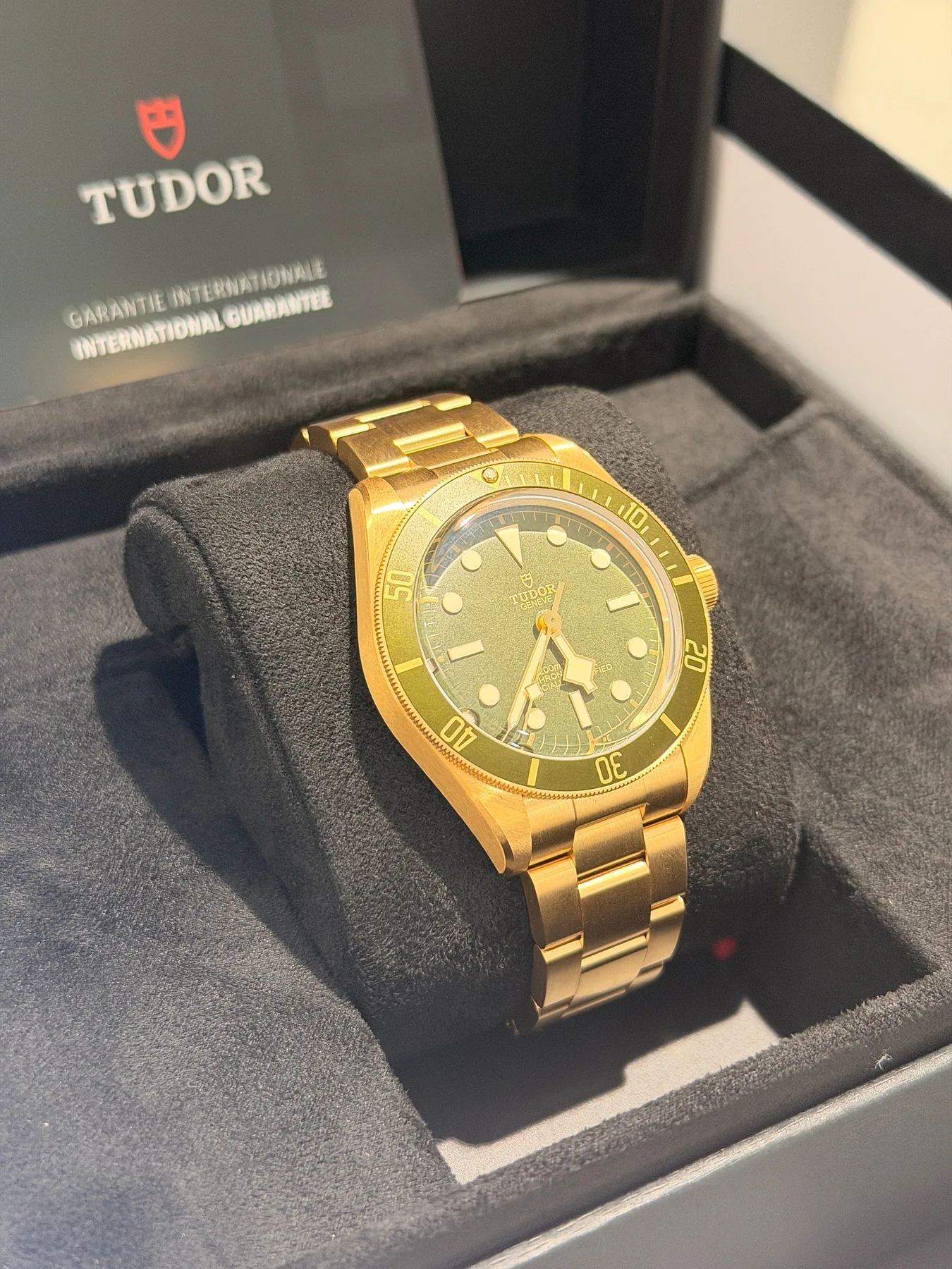 튜더 블랙 베이 58 18k 금통 39mm 79018V 2026 사진 3