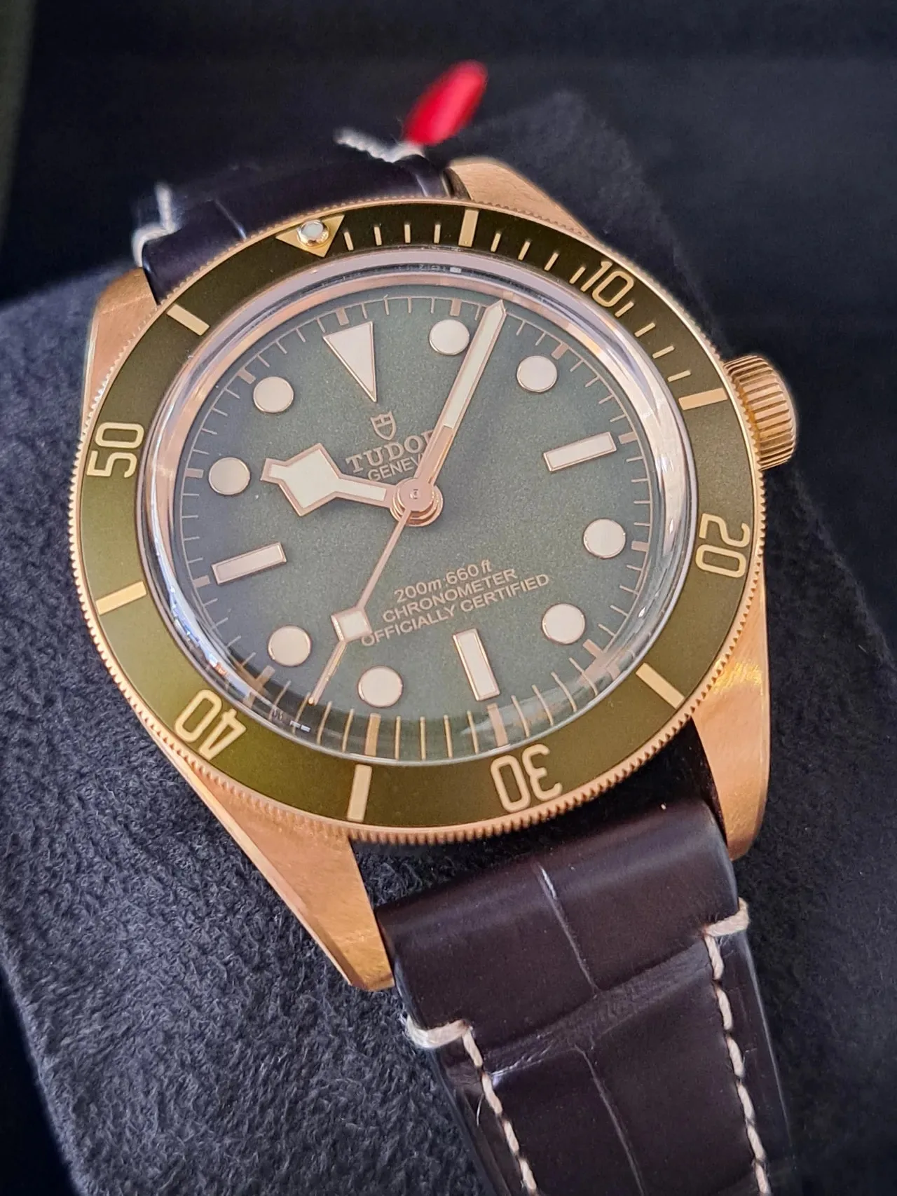 튜더 블랙베이 58 18k 녹금 39mm 2024 사진 5