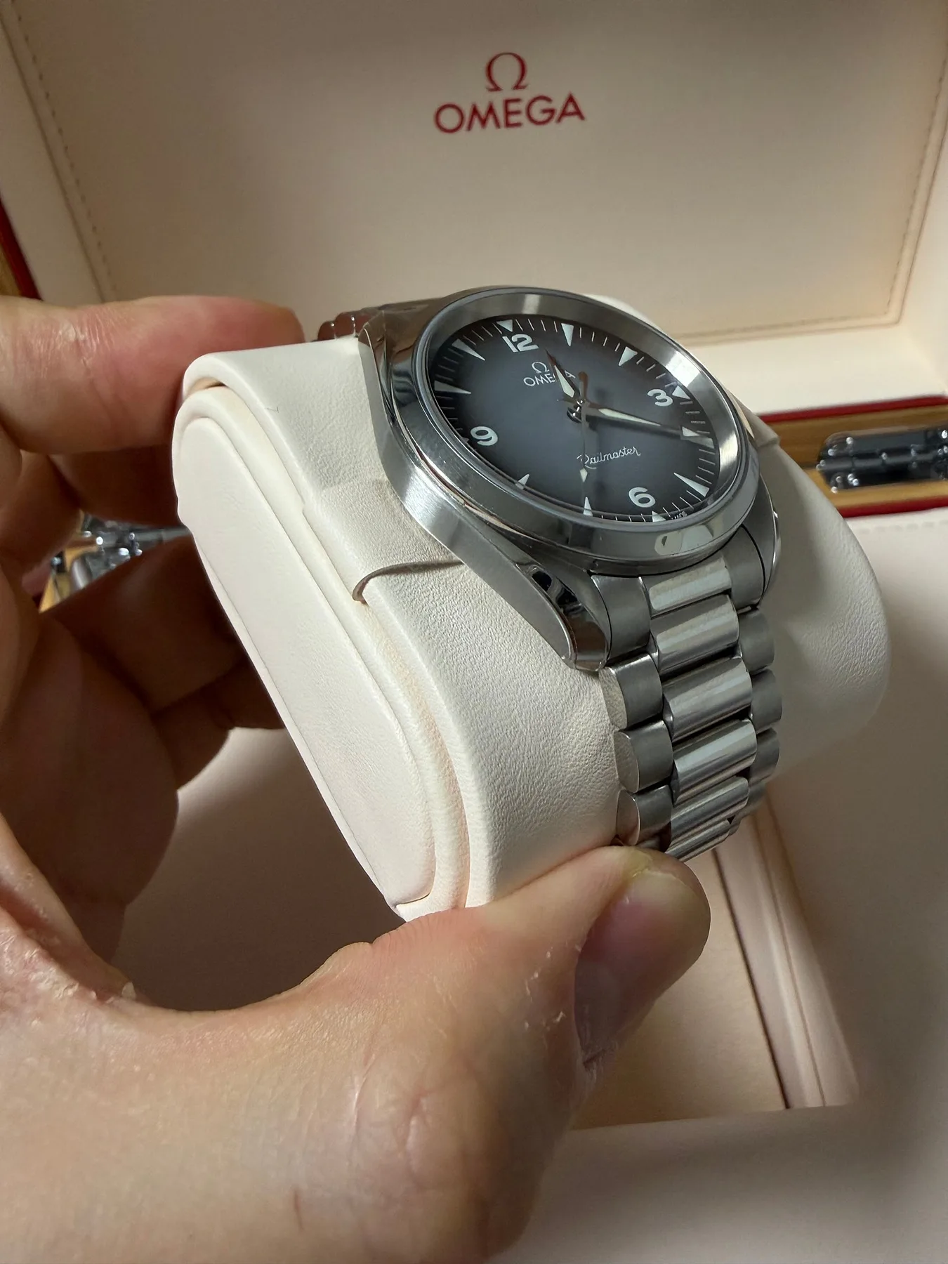 오메가 씨마스터 레일마스터 38mm 2025 사진 4