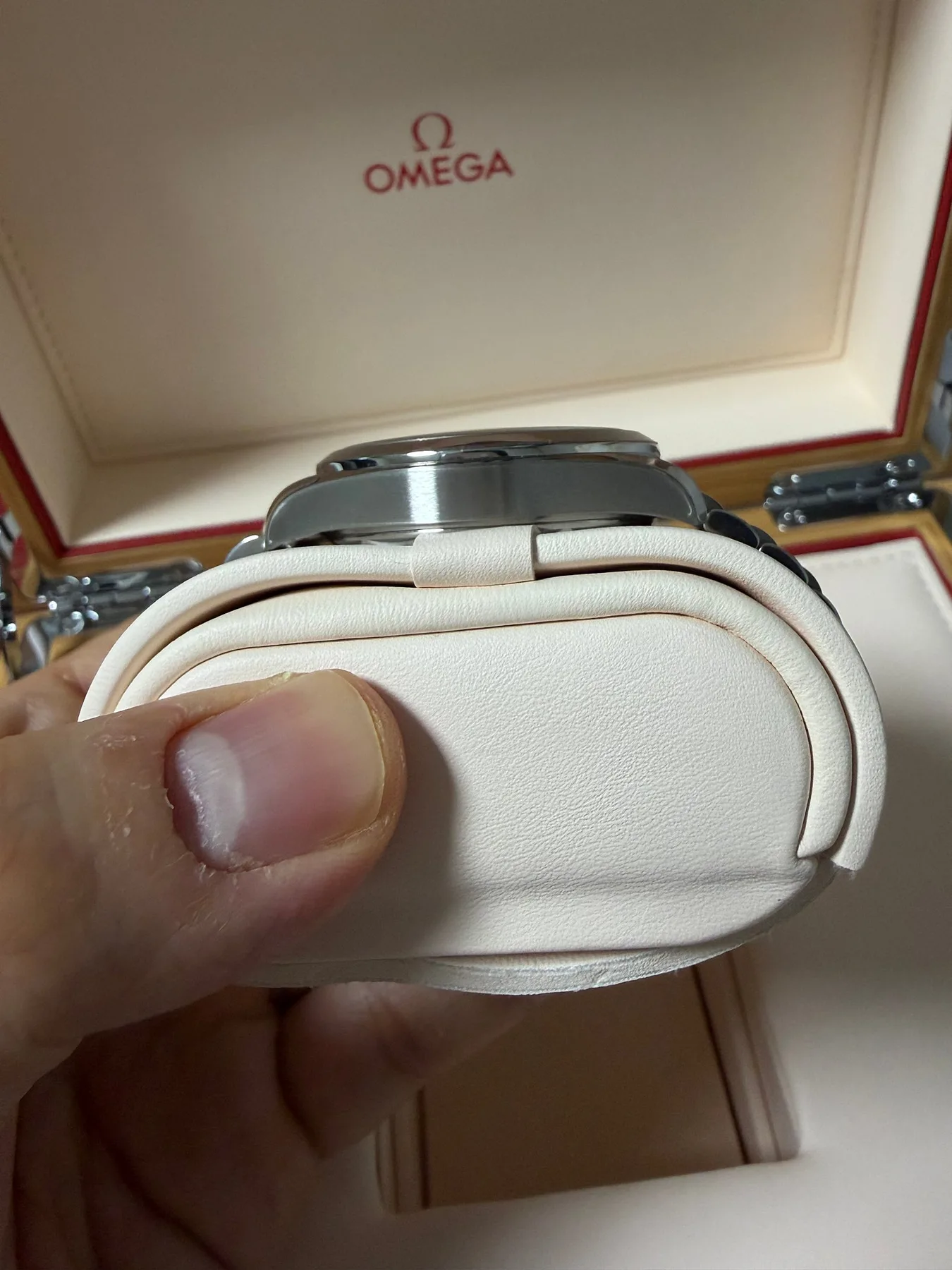 오메가 씨마스터 레일마스터 38mm 2025 사진 7