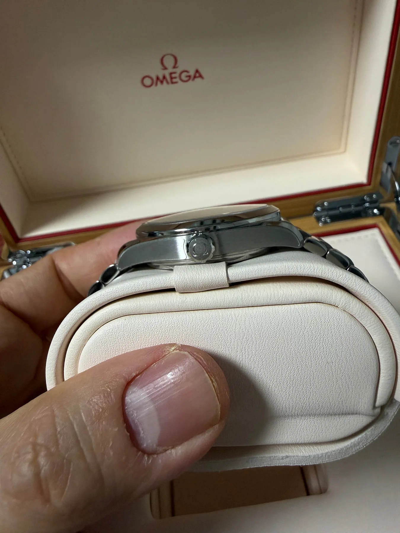 오메가 씨마스터 레일마스터 38mm 2025 사진 8